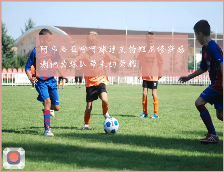 阿韦洛亚呼吁球迷支持维尼修斯感谢他为球队带来的荣耀