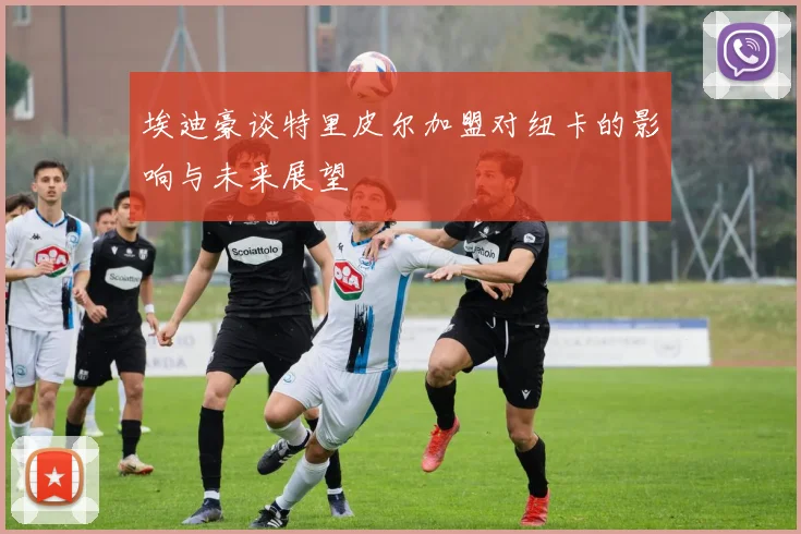埃迪豪谈特里皮尔加盟对纽卡的影响与未来展望