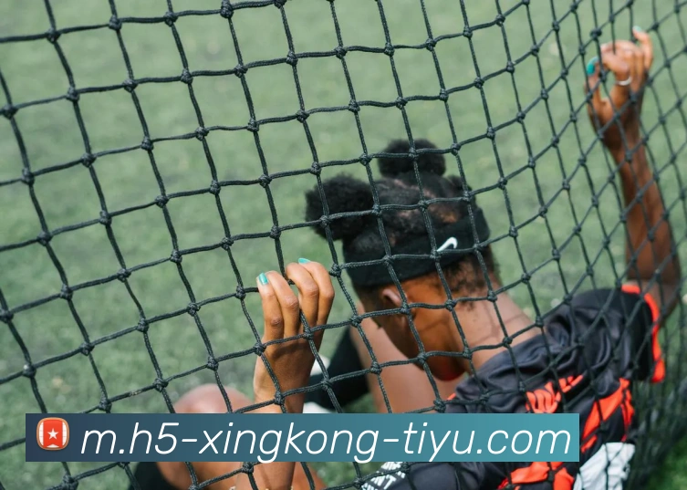 多媒体互动体验