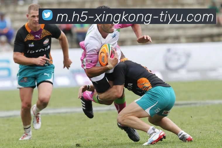 数据防护可视化